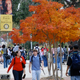 Image for article titled Charming Sorority Girls Wear Blackface 'Cosby' Costumes